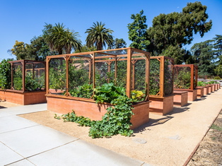 Join Us at the LEAF Center for President’s Day Community Planting!