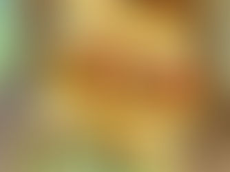 TACOS SU TOFU "MĖSOS" PADAŽU