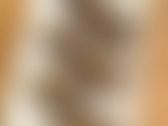 AUGALINIAI "SNICKERS'AI"