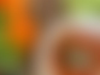 PAPRIKŲ PAGARDAS “MUHAMMARA”