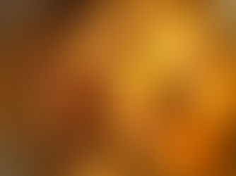 MOLIŪGINĖ AVIŽŲ KOŠĖ