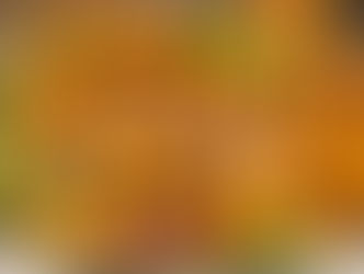 BUDOS DUBENĖLIS IŠKYLŲ PIETUMS