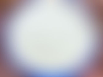 ŽOLELIŲ “MAJONEZAS”