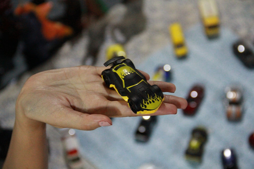 TOY CARS COLLECTOR