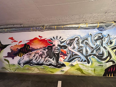 Graffiti Künstler Domingo Mattle