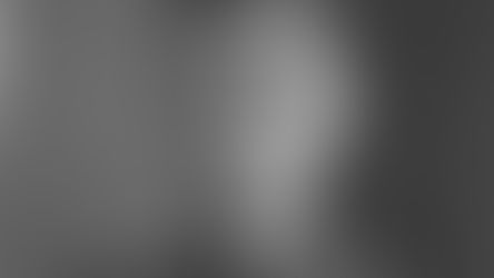 Manfred Fitz - Ein einfacher Soldat