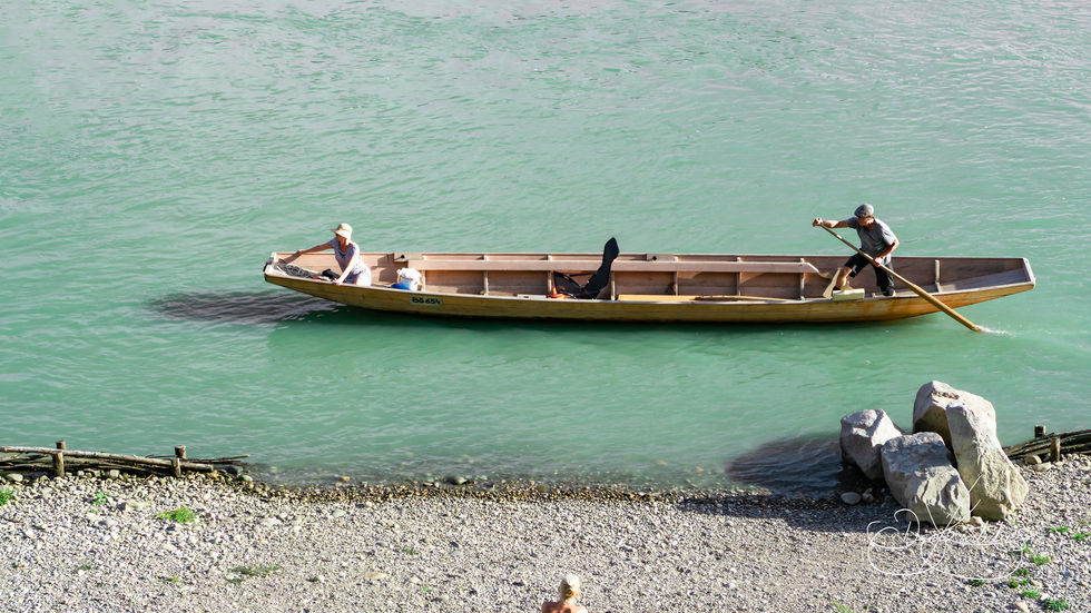 Ruderer des Rheins - Basel