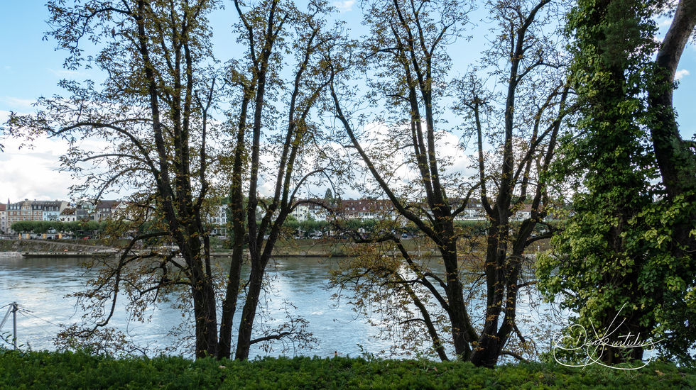 Saint Alban Küste - Basel