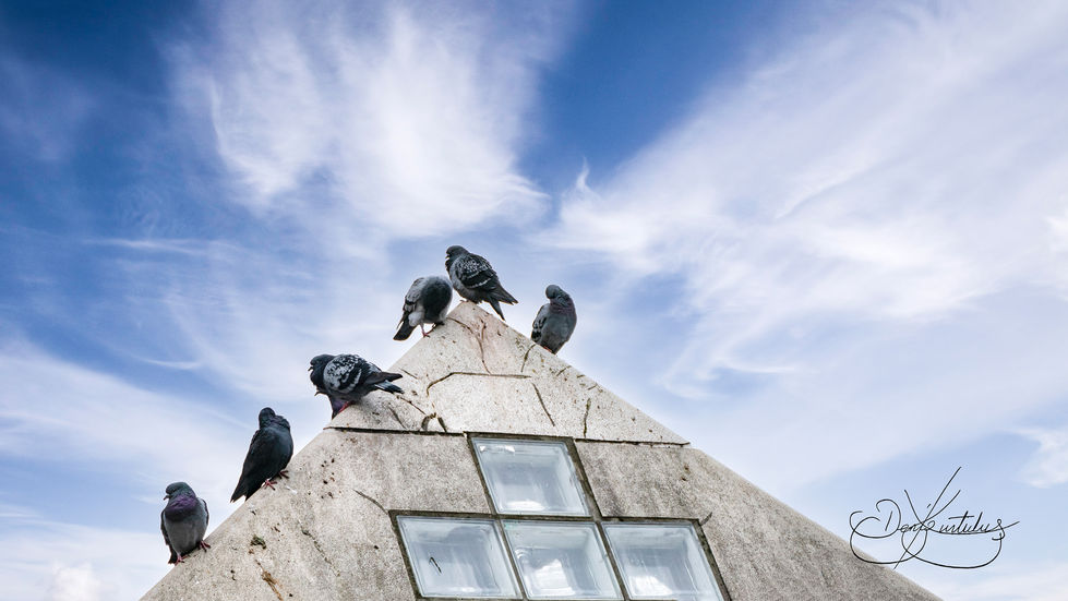 Pyramide und Tauben des Theaters Basel