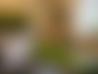 A tranquil osteopathic treatment room featuring a green massage table, a large canvas of an oak tree, and soft natural light, creating a safe space for supporting reproductive health and infertility.