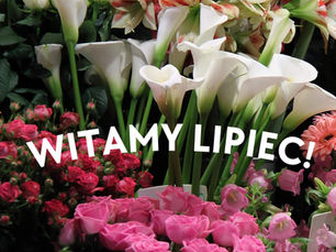 Witamy w lipcu – sprawdź, co przygotowaliśmy w Kwiaciarni Maria