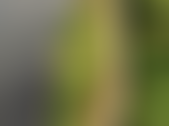 Czy jazda quadami jest bezpieczna? Na co zwrócić uwagę