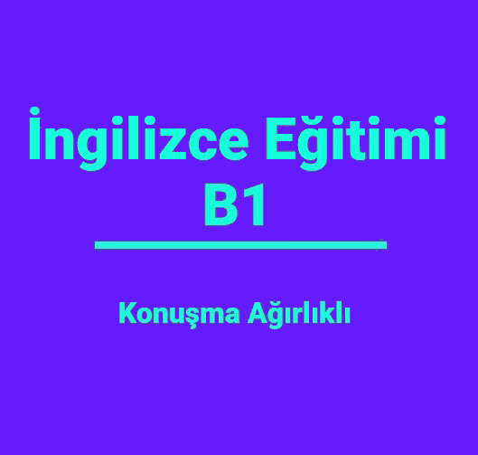 Aluminum Beverage Can   