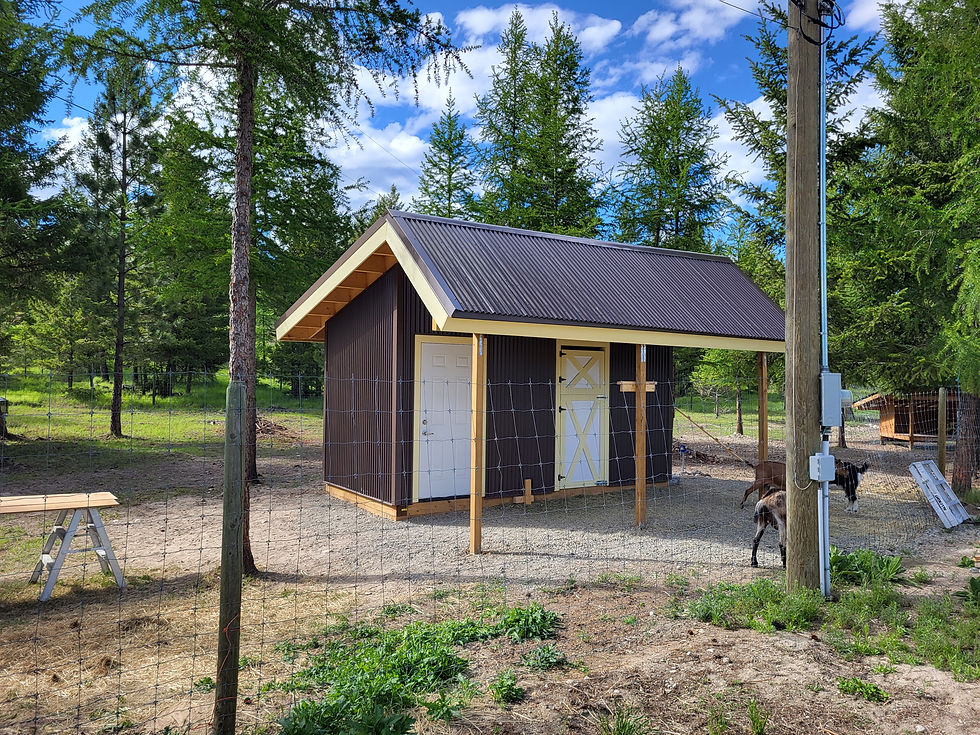 South Okanagan Renovations,fences,decks,landscaping Animal enclosure