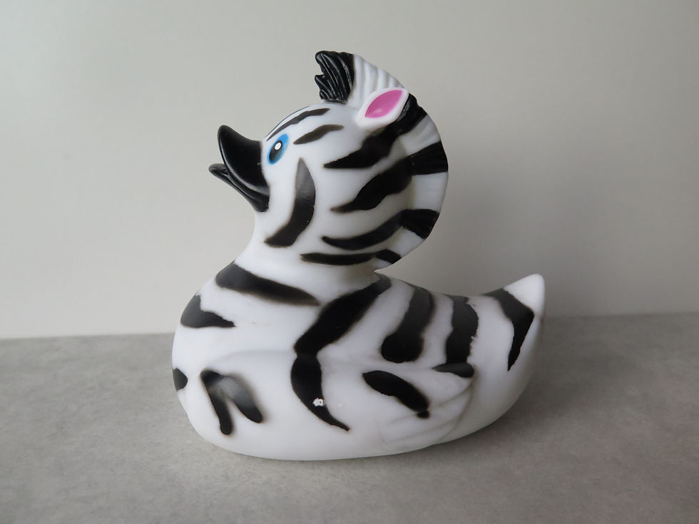 Thumbnail: Zebra Rubber Duck