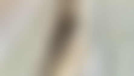 BACU Civil Photography Competition