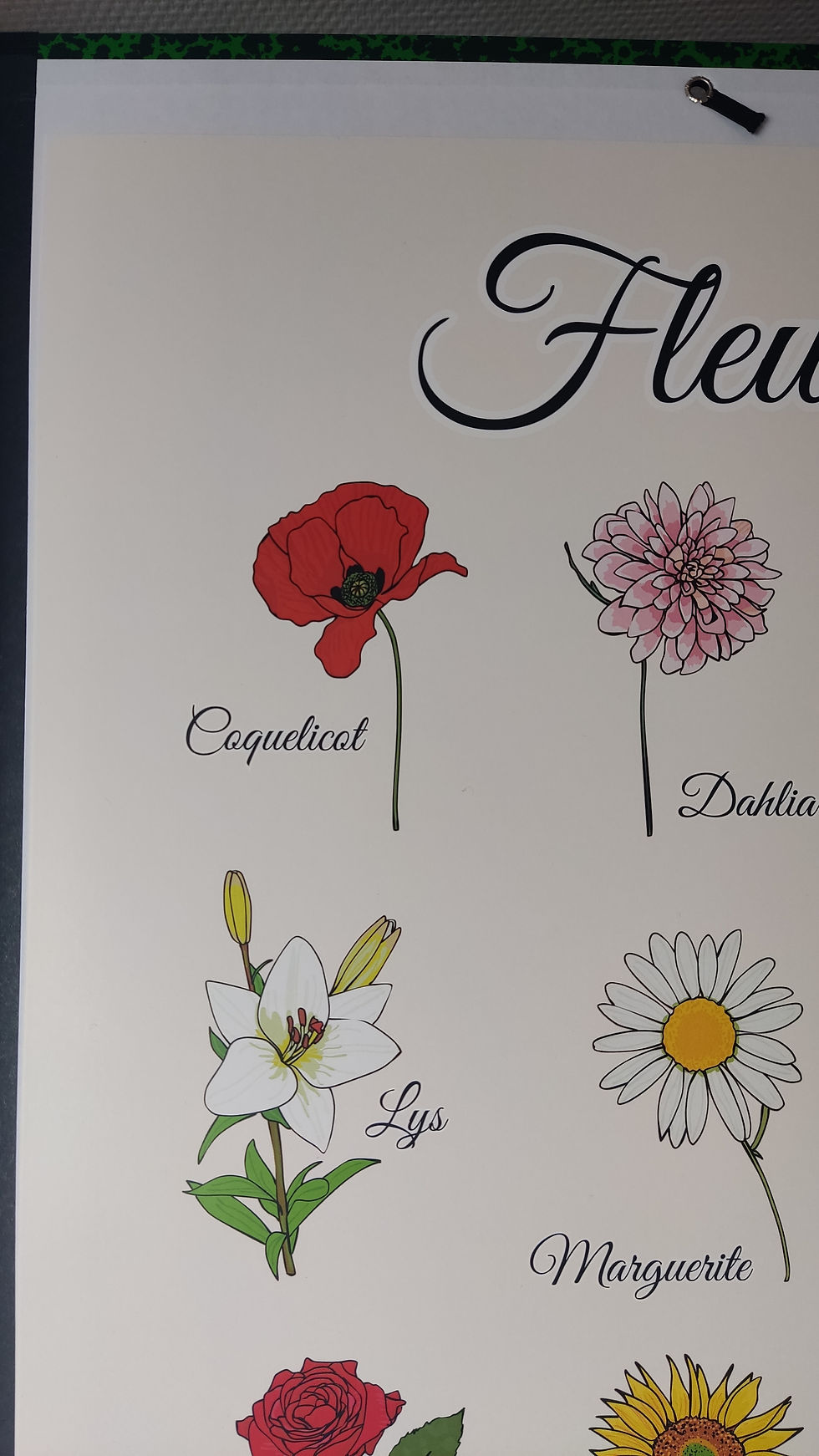 Miniature : affiche décorative illustration de fleurs avec les noms dans un style herbier