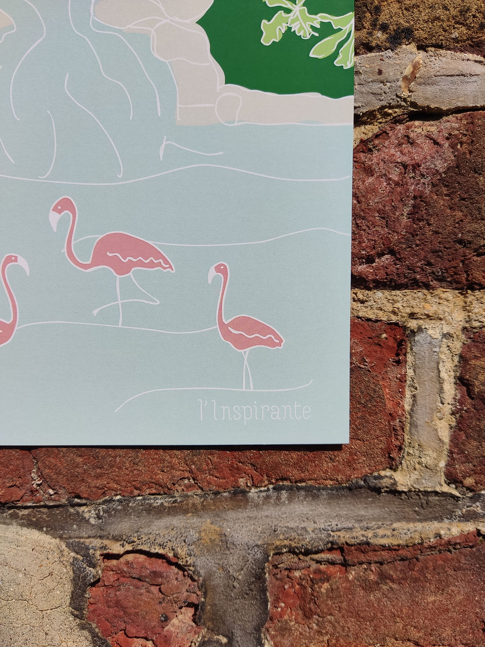 Miniature : affiche décorative illustration flamant rose