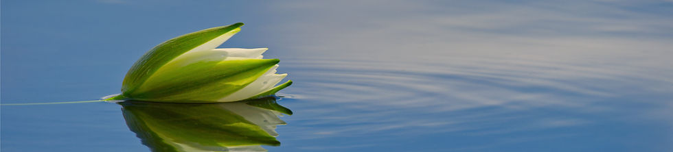 6L0A4019 crop 1.jpeg