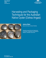 Harvesting and Packaging Techniques for the Australian Native Oyster (Ostrea Angasi)
