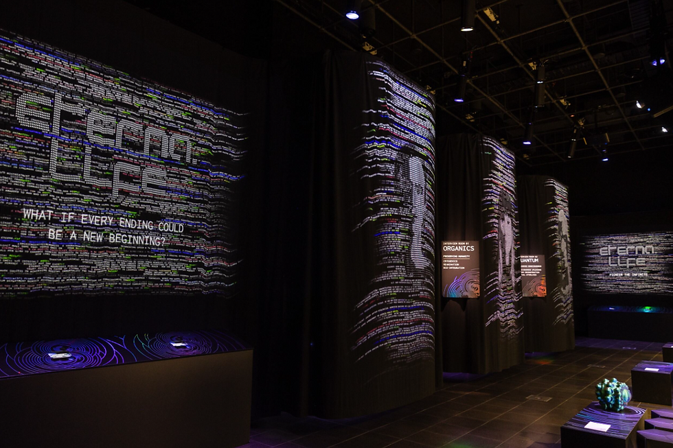 Futures Gallery. Photo credit: Sia Duff.