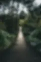 Brücke 1280.webp