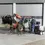 Thumbnail: Kranzle - Therm 1017 T Hogedruk