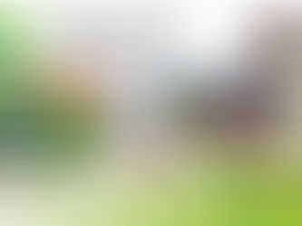 Nu ook bij ons te koop!