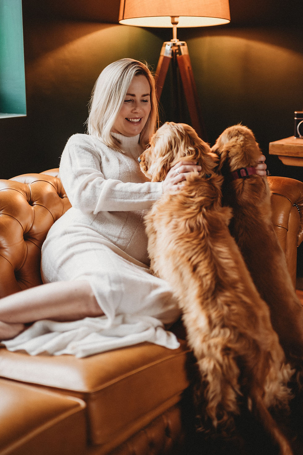 Maternity Photoshoot with dogs