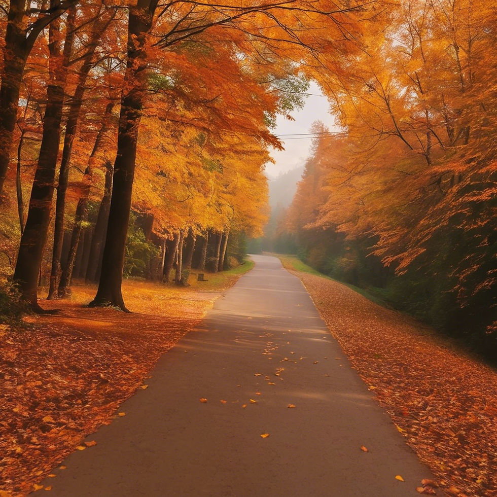 Kent family photography. Autumn photoshoot