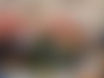 SOCIOS DE LA WACC PRESENTES EN BRASIL: COMPARTIERON SUS EXPERIENCIAS DE COMUNICACIÓN COMUNITARIA EN BELEM DO PARÁ