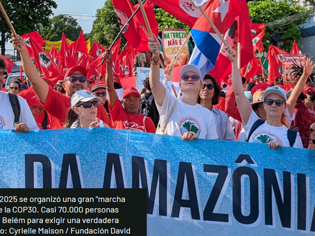 COP30: Voces de América