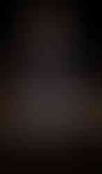 DESFILE SCHIAPARELLI COUTURE 2024