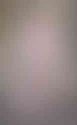 DESFILE DE GIAMBATTISTA VALLI COUTURE 2024