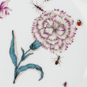 Meissen Speiseteller
