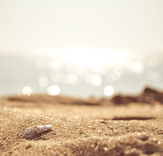 Sandy Beach Closeup