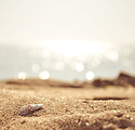 Plage de sable