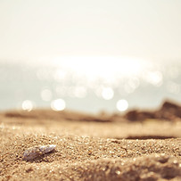 Sandy Beach Closeup