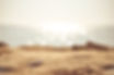 Sandy Beach