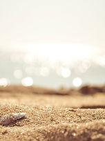 Sandy Beach Closeup