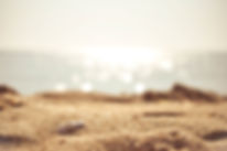 Sandy Beach Closeup