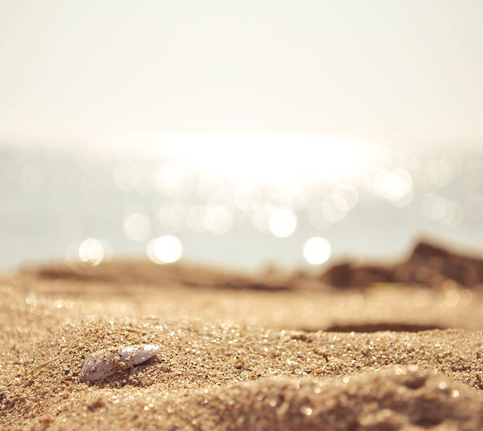 Sandy Beach Closeup