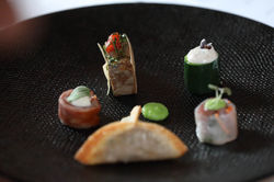 MS_LSF_PHOTO_LSF23-12