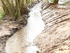 Ditch Clearance Worcestershire 3_edited.png