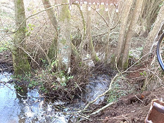 Ditch Clearance Worcestershire 1_edited.jpg
