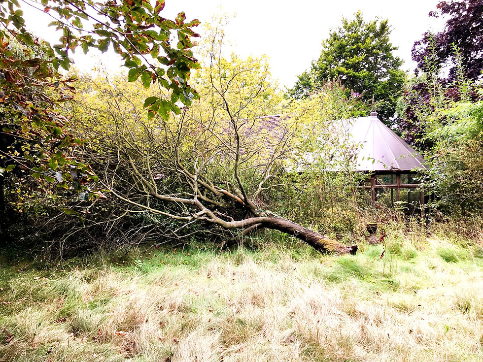 Site Clearance Worcestershire