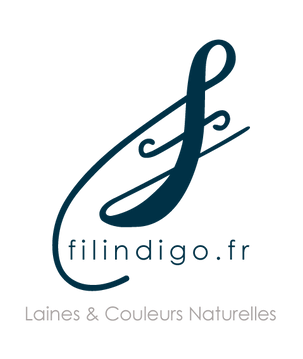 Fil Indigo_Logo.png