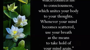 Thich Bhat Hanh quote with a picture of lotus flowers and leaves to the side