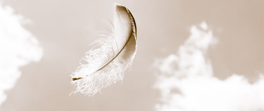 Feather floating on breeze with clouds