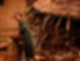 42398411201_69c555149b_k.jpg